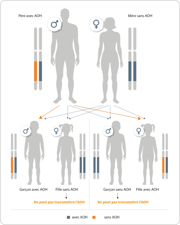 Erfelijkheid van HAE